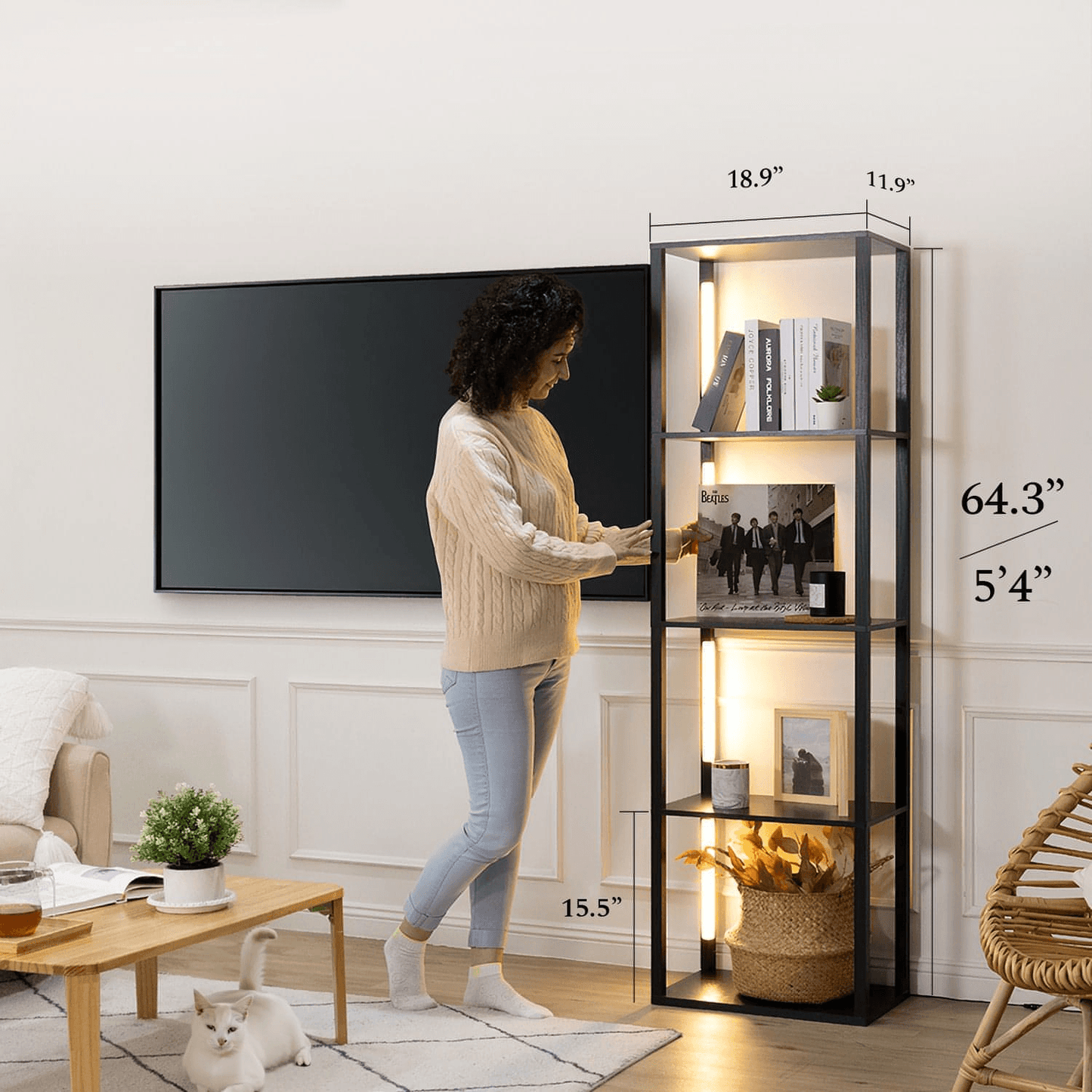 FENLO Fancy: Plus PRO