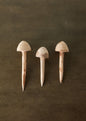 Wooden Mushroom Garden Stick