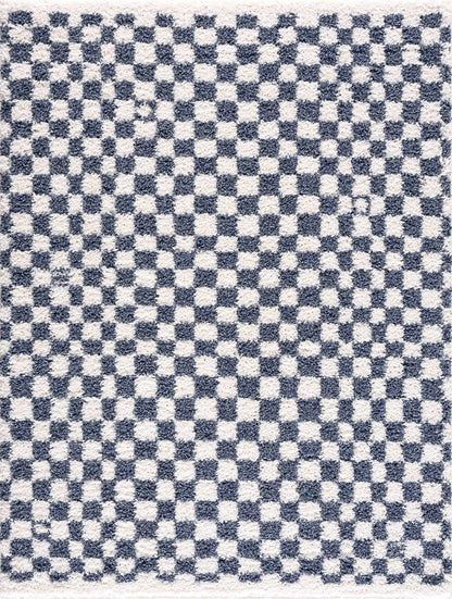 Kieu Blue & White Checkered Area Rug