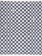 Kieu Blue & White Checkered Area Rug