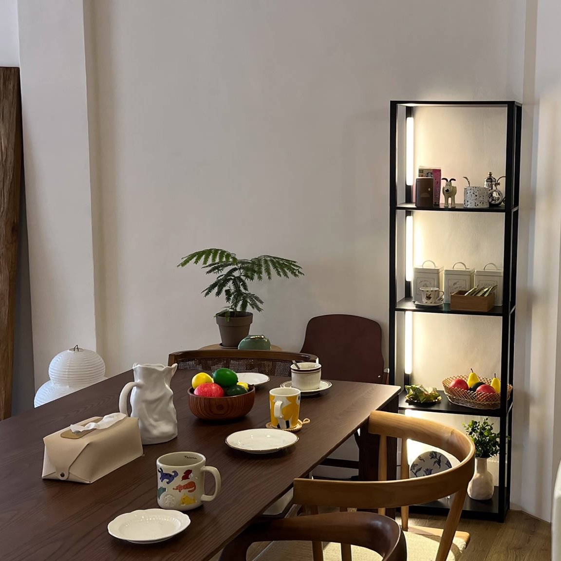 FENLO Fancy: Plus PRO