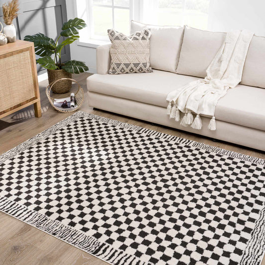 Leryn Black & White Checkered Area Rug
