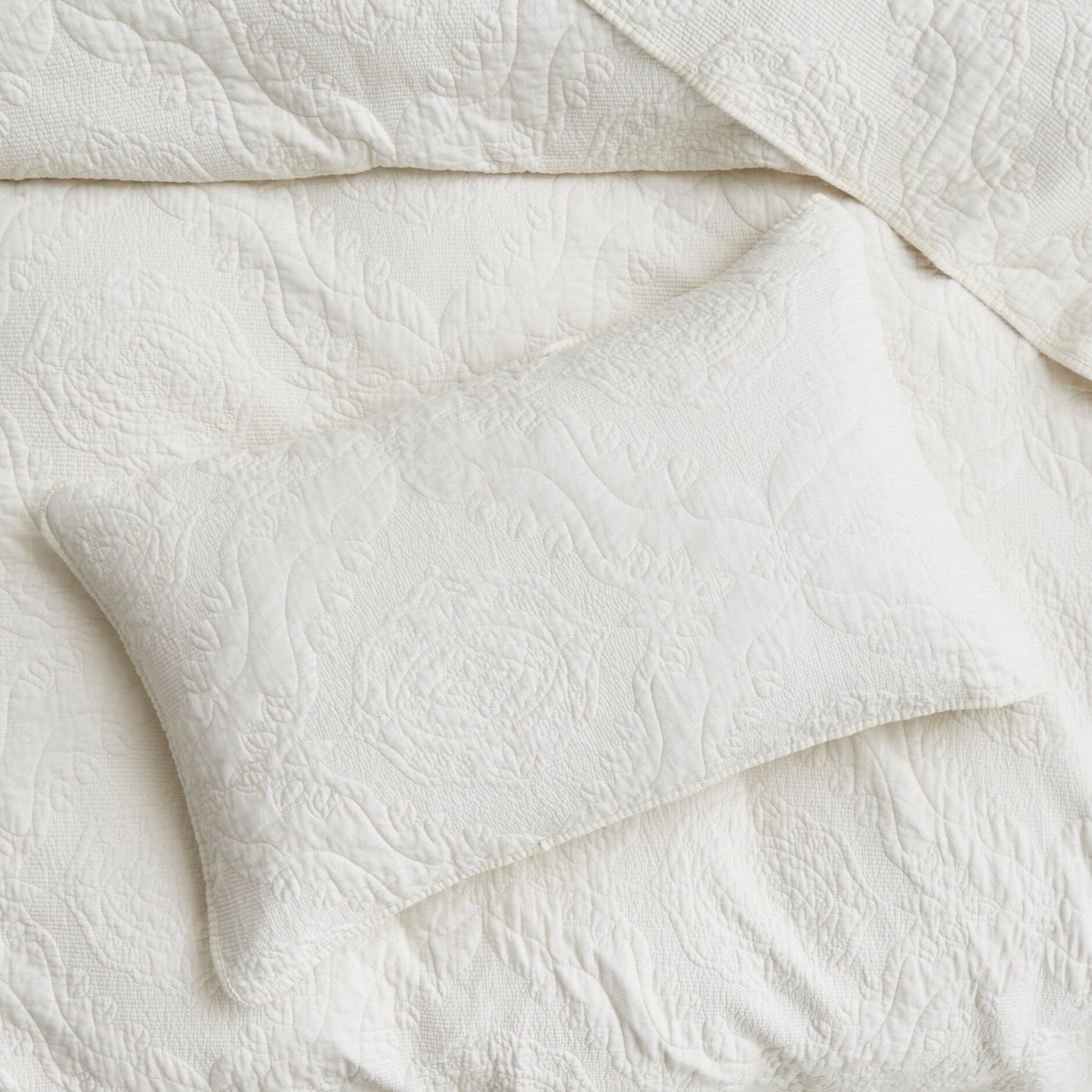 Tache Vanilla Cream Ivory Paisley Damask Stitch Matelassé Cotton Quilt Set (JHW-643)