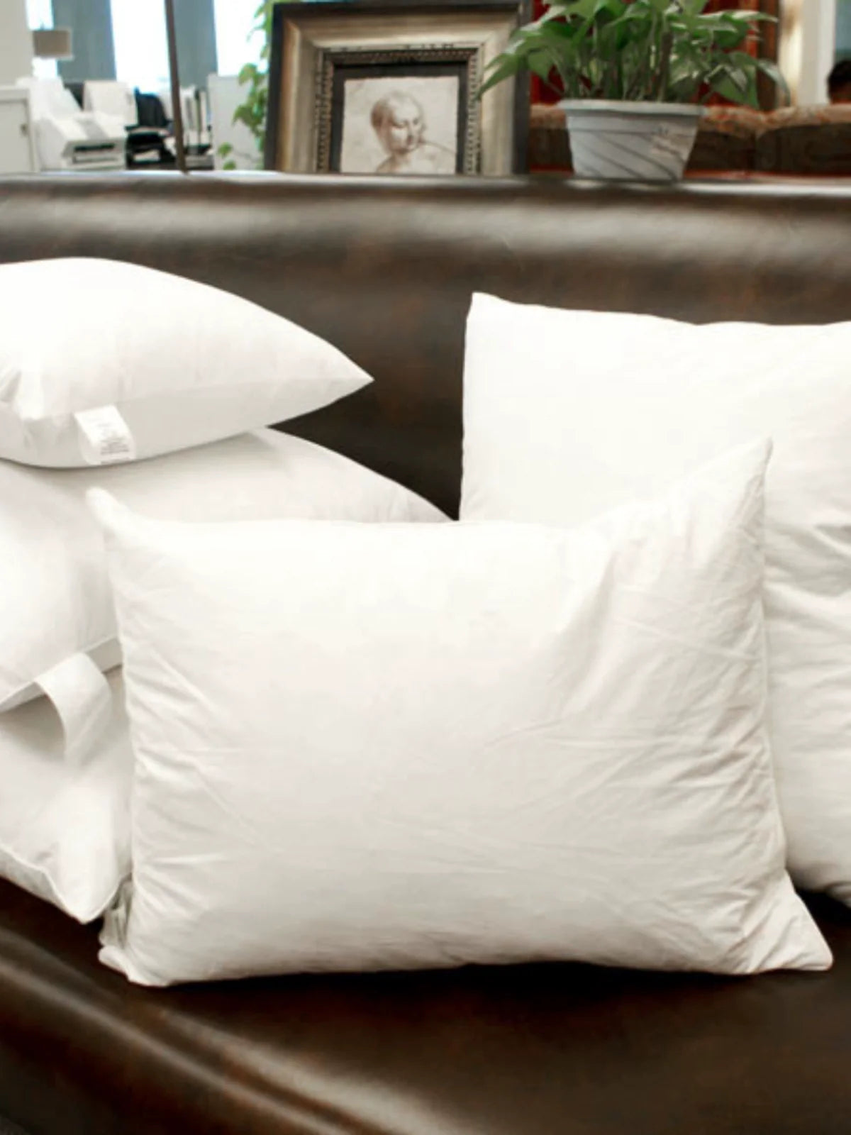 Goose Feather Down Pillow Insert for Sofa and Bedding