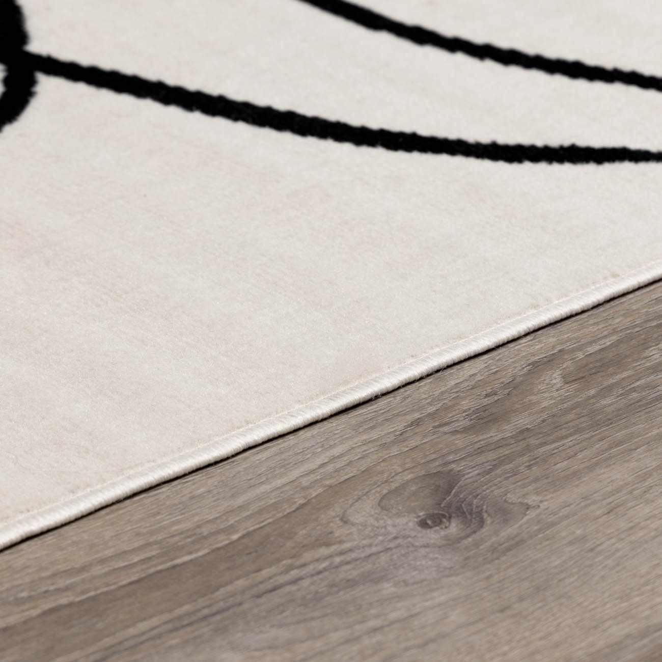 Eilir Modern Low Profile Boho Rug