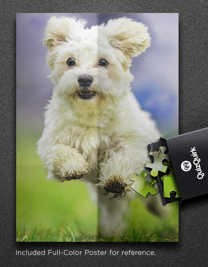 QuizQuirk 1000 Piece Puzzle, Jumping Dog Jigsaw Puzzle for Adults/Teens (Puzzle Saver Kit Included)