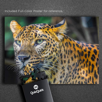 QuizQuirk 1000 Piece Puzzle, Bold Leopard Jigsaw Puzzle for Adults/Teens (Puzzle Saver Kit Included)