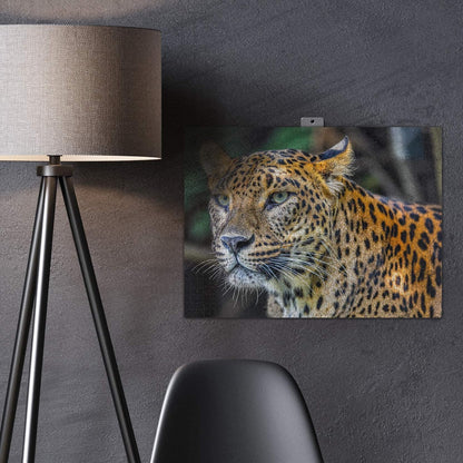 QuizQuirk 1000 Piece Puzzle, Bold Leopard Jigsaw Puzzle for Adults/Teens (Puzzle Saver Kit Included)