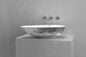 Egg Shaped Vessel Sink