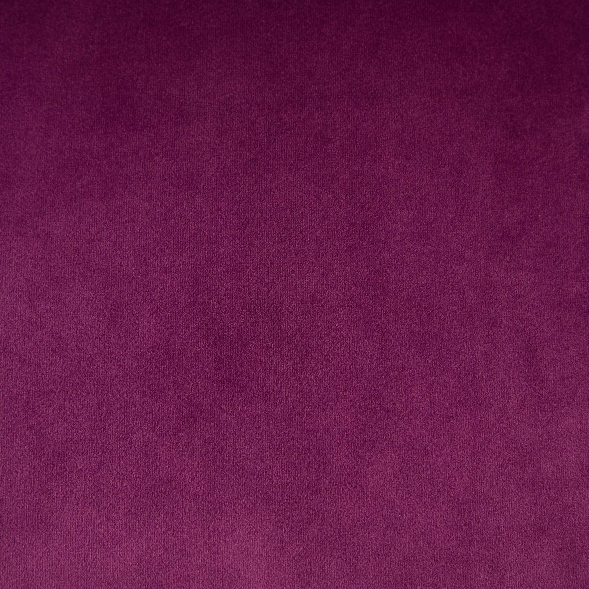 Purple Modern Velvet Upholstered Office Chair with Tufted Buttons - Golden Accents