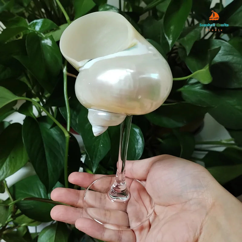 Natural Conch Shell Wine Glass - Handcrafted 6.3” Martini Goblet for Weddings and Special Occasions, Unique Seashell Design, Eco-Friendly Drinkware