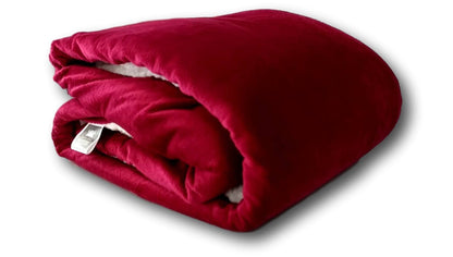 Tache Holiday Red Microfleece with Sherpa Back Throw Blanket (HRDMF)