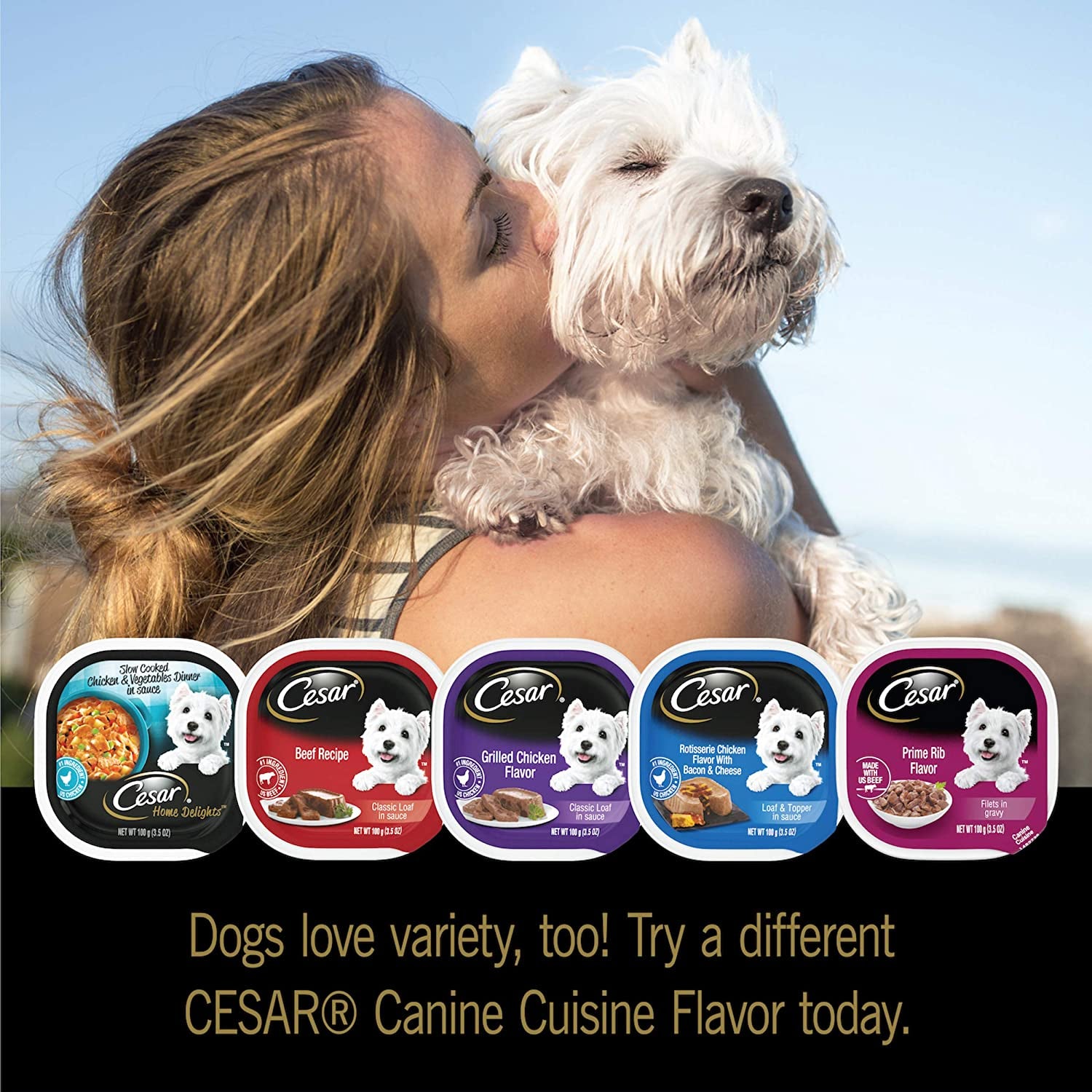 CESAR HOME DELIGHTS Braised Rib Wet Dog Food, Pork with Carrots & Peas, 3.5 oz Trays (24 Pack)