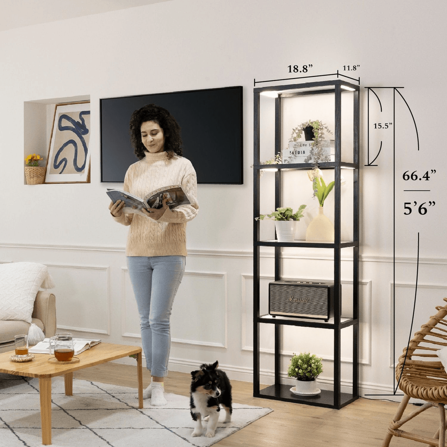 FENLO Fantasy: Plus PRO