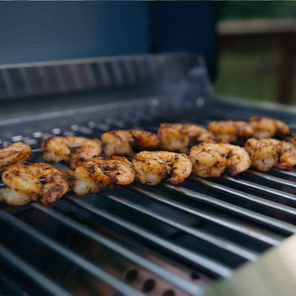 G22 | Stainless Tabletop Propane Gas Grill