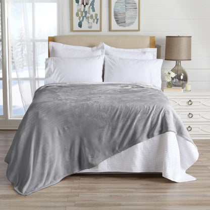 Velvet Plush Blanket - Avianna Collection