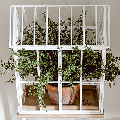Greenhouse Inspired Outdoor Plant Stand