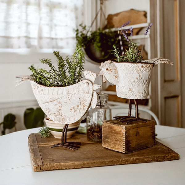 Indoor/Outdoor Distressed Hen Planter, Choose Your Style