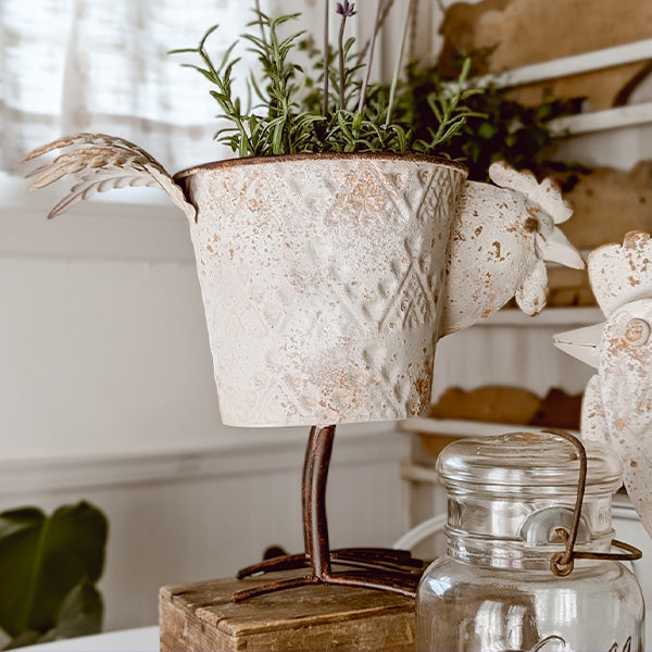 Indoor/Outdoor Distressed Hen Planter, Choose Your Style