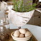 Indoor/Outdoor Distressed Hen Planter, Choose Your Style