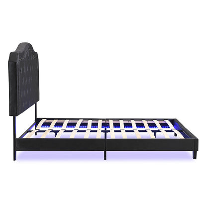 Queen Upholstered Bed Button Tufted with Curve Design