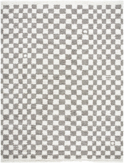 Kieu Taupe Checkered Plush Rug