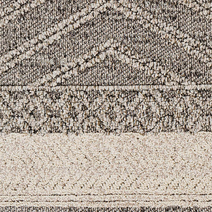 Areli Beige / Brown Outdoor Rug