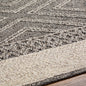 Areli Beige / Brown Outdoor Rug
